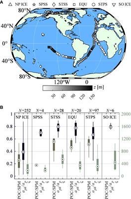 Improved multivariable algorithms for estimating oceanic particulate organic carbon concentration from optical backscattering and chlorophyll-a measurements